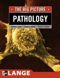 صورة الغلاف: Pathology: The Big Picture 1st edition 9780071477482