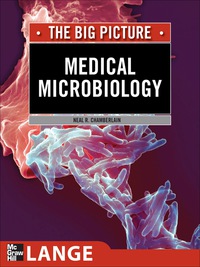 Imagen de portada: Medical Microbiology: The Big Picture 1st edition 9780071476614