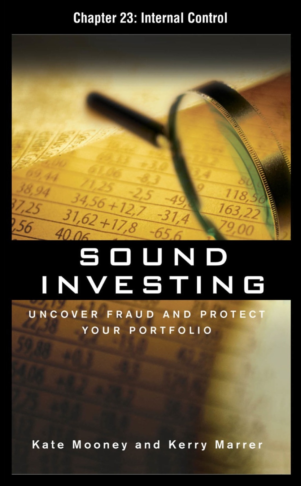 Sound Investing Chapter 23 - Internal Control (eBook)