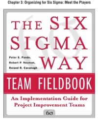 Cover image: The Six Sigma Way Team Fieldbook, Chapter 3 - Organizing for Six Sigma Meet the Players 9780071734127