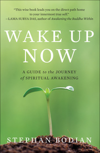 Cover image: Wake Up Now 1st edition 9780071742221
