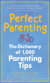 صورة الغلاف: Perfect Parenting: The Dictionary of 1,000 Parenting Tips 1st edition 9780809228478