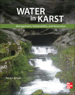 Imagen de portada: Water in Karst 1st edition 9780071753333