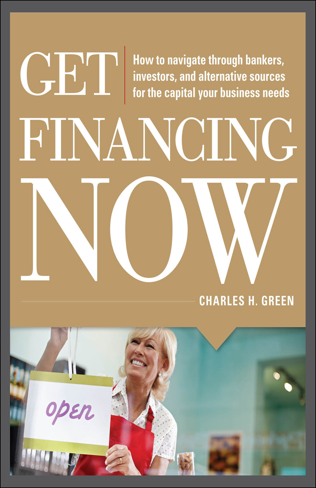 Get Financing Now: How to Navigate Through Bankers, Investors, and Alternative Sources for the Capital Your Business Needs 1st Edition