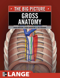 Cover image: Gross Anatomy: The Big Picture, SMARTBOOK™ 2nd edition 9780071476720
