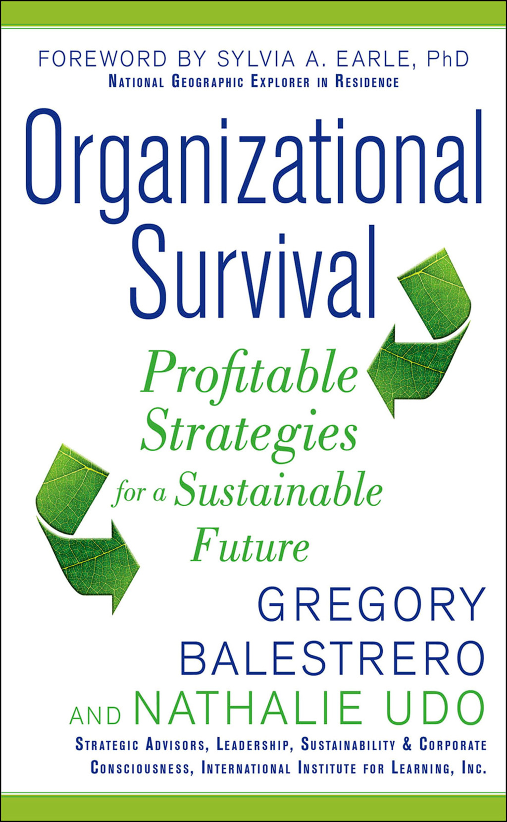 Organizational Survival: Profitable Strategies for a Sustainable Future 1st Edition
