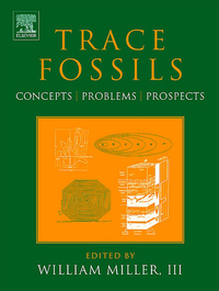 Immagine di copertina: Trace Fossils: Concepts, Problems, Prospects 9780444529497