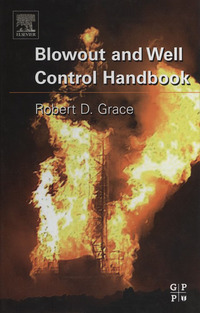 صورة الغلاف: Blowout and Well Control Handbook 9780750677080
