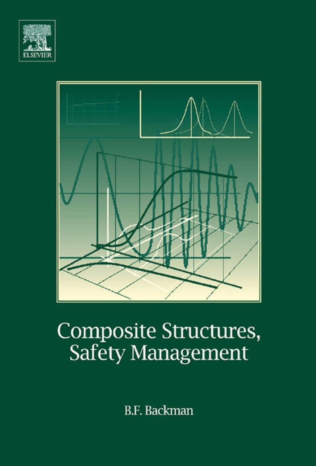 Composite Structures: Safety Management 2nd Edition