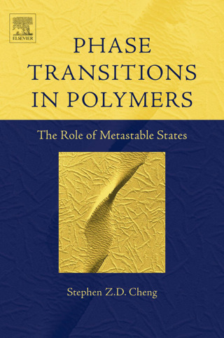 Imagen de portada: Phase Transitions in Polymers: The Role of Metastable States 9780444519115