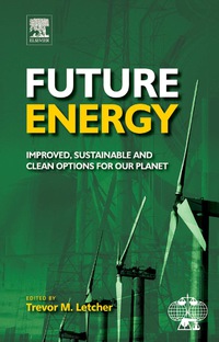 Immagine di copertina: Future Energy 9780080548081