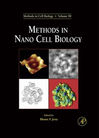 Omslagafbeelding: Methods in Nano Cell Biology 9781597492706