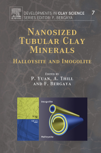 صورة الغلاف: Nanosized Tubular Clay Minerals 9780081002933