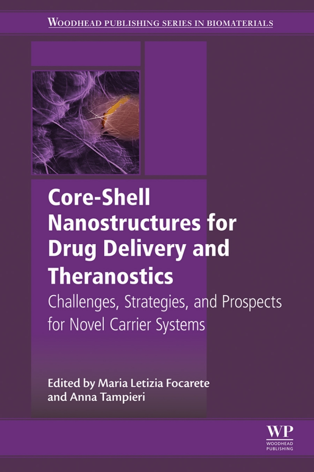 Core-Shell Nanostructures for Drug Delivery and Theranostics Challenges, Strategies and Prospects for Novel Carrier Systems