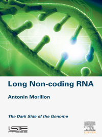Imagen de portada: Long Non-coding RNA 9781785482656