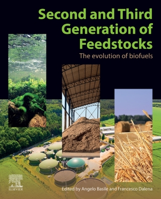 Cover image: Second and Third Generation of Feedstocks 9780128151624