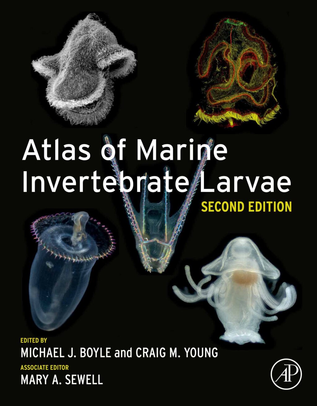 Atlas of Marine Invertebrate Larvae 2nd Edition