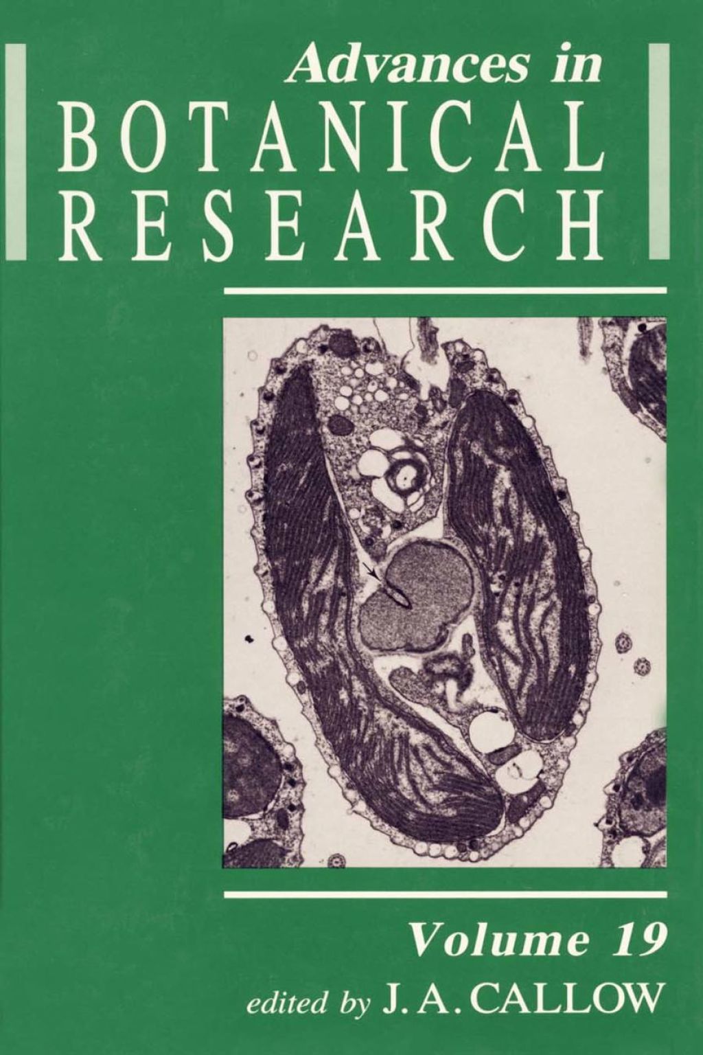Advances in Botanical Research: Volume 19
