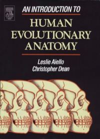 Imagen de portada: An Introduction to Human Evolutionary Anatomy 9780120455904