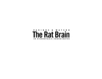 Immagine di copertina: The Rat Brain in Stereotaxic Coordinates - The New Coronal Set 5th edition 9780120884728