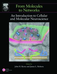 Imagen de portada: From Molecules to Networks: An Introduction to Cellular and Molecular Neuroscience 9780121486600