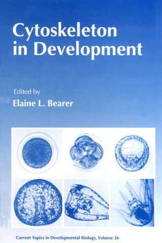 Cover image: CURRENT TOPICS DEVELOPMENTAL BIOLOGY V26 9780121531263