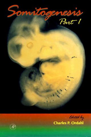 Cover image: Somitogenesis, Part I 9780121531478