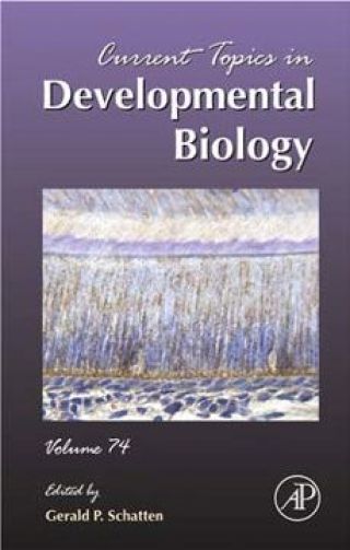 表紙画像: Current Topics in Developmental Biology 9780121531744