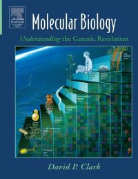 Imagen de portada: Molecular Biology: Understanding the Genetic Revolution 1st edition