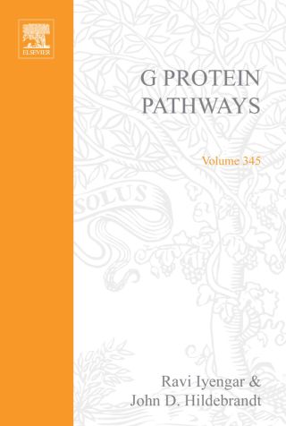 Imagen de portada: G Protein Pathways, Part C: Effector Mechanisms: Effector Mechanisms 9780121822460