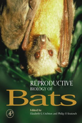Immagine di copertina: Reproductive Biology of Bats 9780121956707