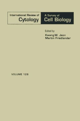 Omslagafbeelding: INTERNATIONAL REVIEW OF CYTOLOGY V128 9780123645289