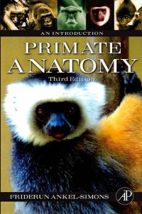 表紙画像: Primate Anatomy: An Introduction 3rd edition 9780123725769