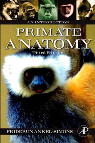 Cover image: Primate Anatomy: An Introduction 3rd edition 9780123725769