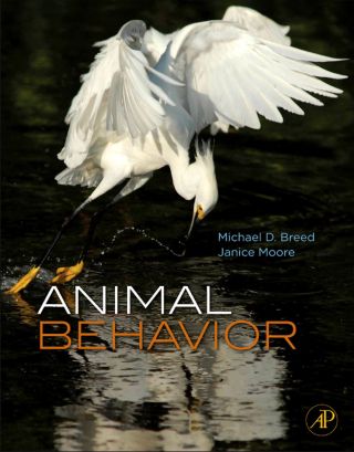 Cover image: Animal Behavior 9780123725813