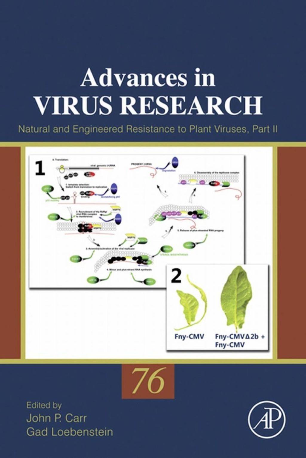 Natural and engineered resistance to plant viruses: Part II