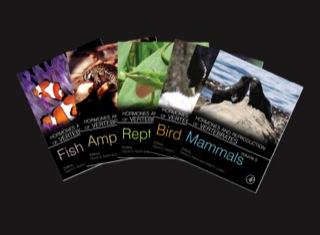 Cover image: Hormones and Reproduction of Vertebrates 9780123749321