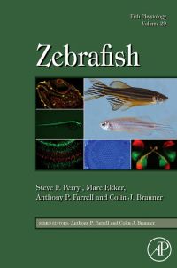 表紙画像: Fish Physiology: Zebrafish: Zebrafish 9780123749833