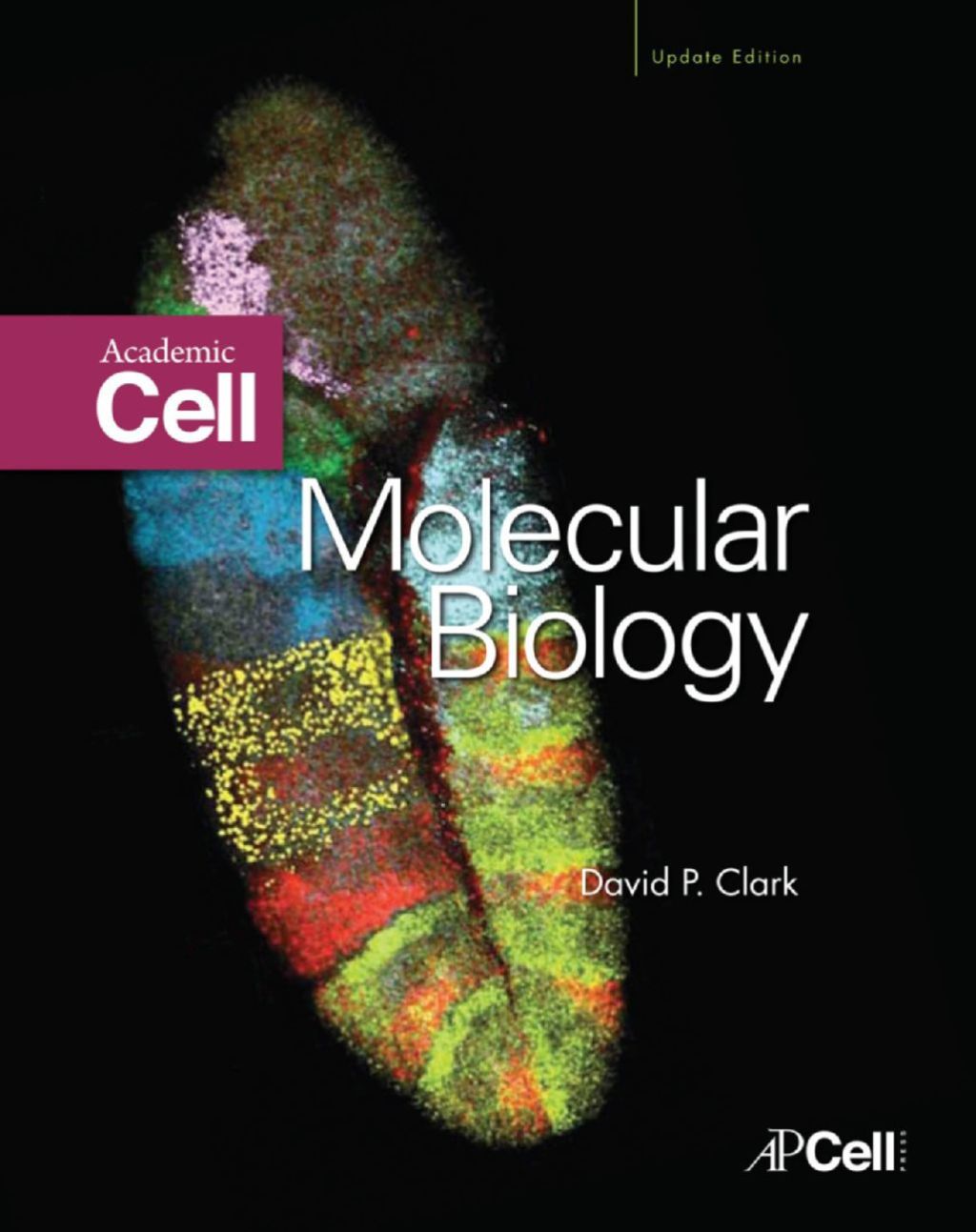 Molecular Biology