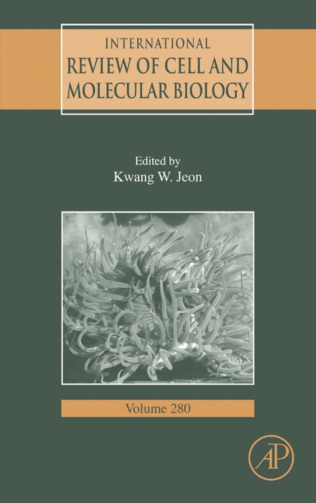 International Review Of Cell and Molecular Biology