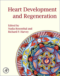 صورة الغلاف: Heart Development and Regeneration 9780123813329