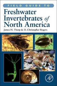 Omslagafbeelding: Field Guide to Freshwater Invertebrates of North America 9780123814265