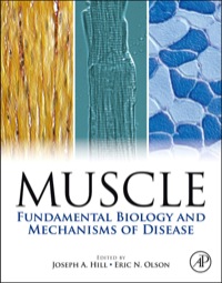 Immagine di copertina: Muscle 2-Volume Set: Fundamental Biology and Mechanisms of Disease 9780123815101