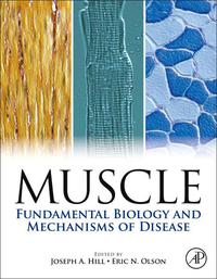 Imagen de portada: Muscle 2-Volume Set: Fundamental Biology and Mechanisms of Disease 9780123815101