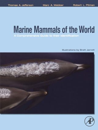 Cover image: Marine Mammals of the World: A Comprehensive Guide to Their Identification: A Comprehensive Guide to Their Identification 9780123838537