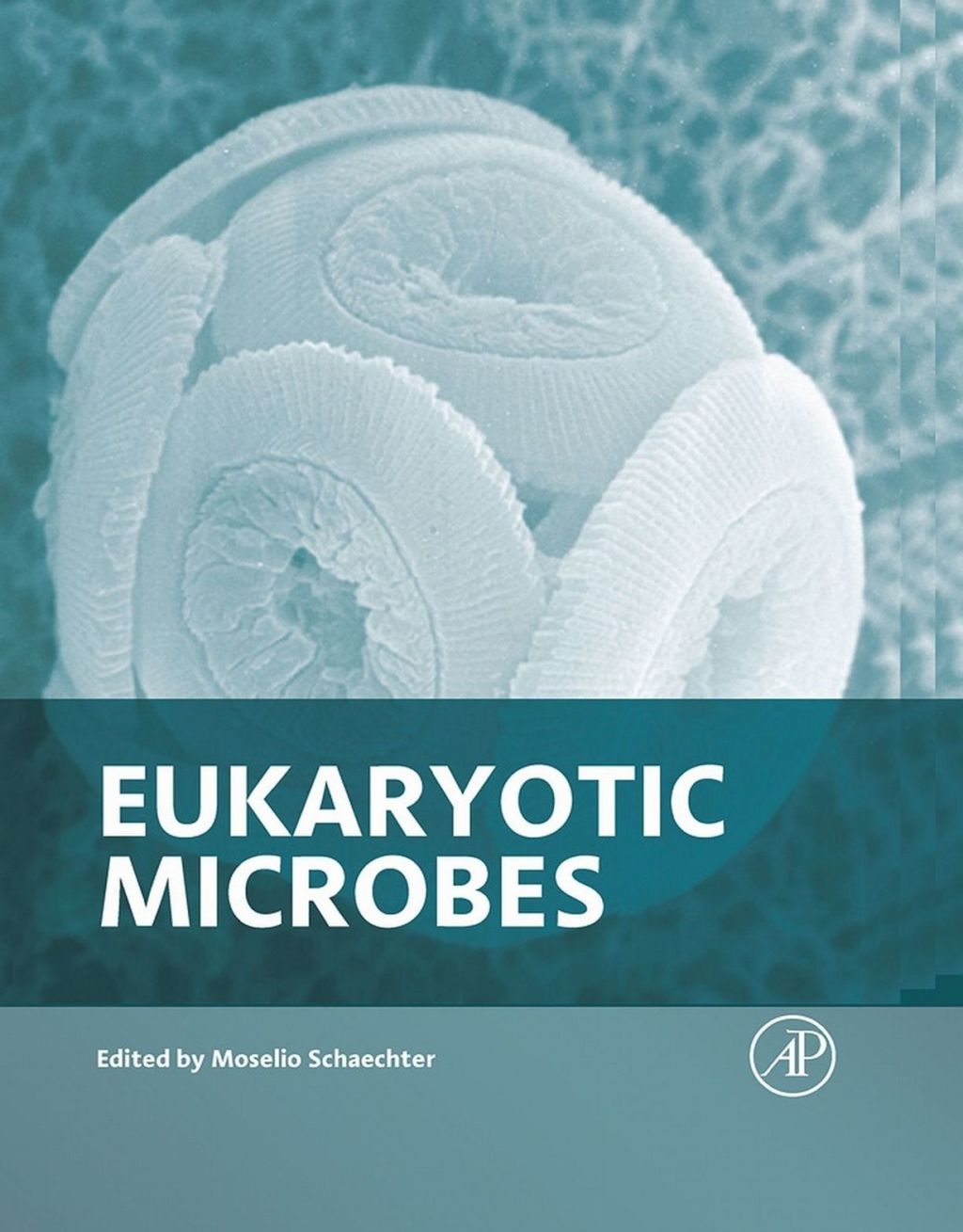 Eukaryotic Microbes