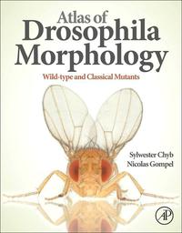Immagine di copertina: Atlas of Drosophila Morphology: Wild-type and Classical Mutants 9780123846884