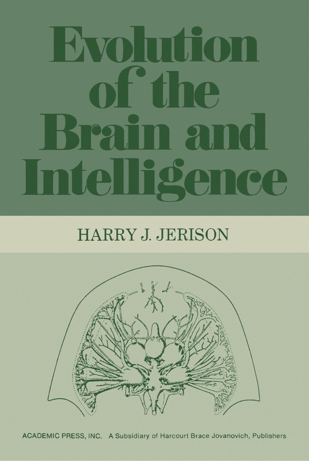Evolution of The Brain and Intelligence 1st Edition
