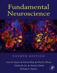 Cover image: Fundamental Neuroscience 4th edition 9780123858702