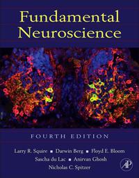 表紙画像: Fundamental Neuroscience 4th edition 9780123858702